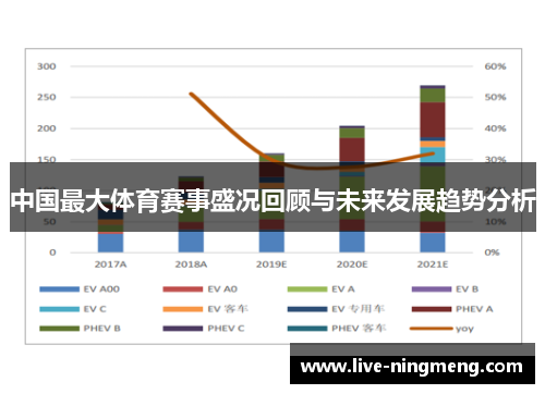 中国最大体育赛事盛况回顾与未来发展趋势分析